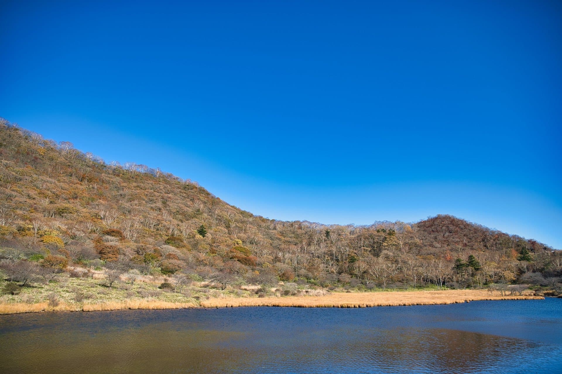 赤城山（県道4号）の風景 1