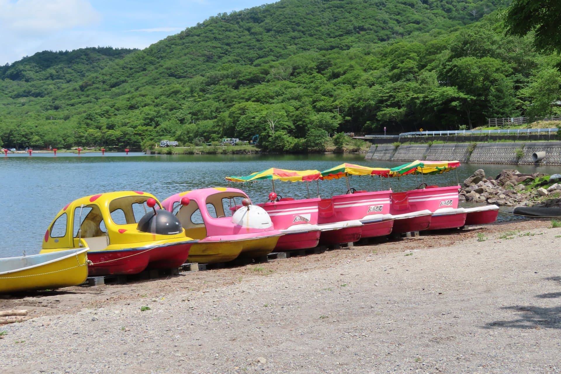大沼湖畔駐車場