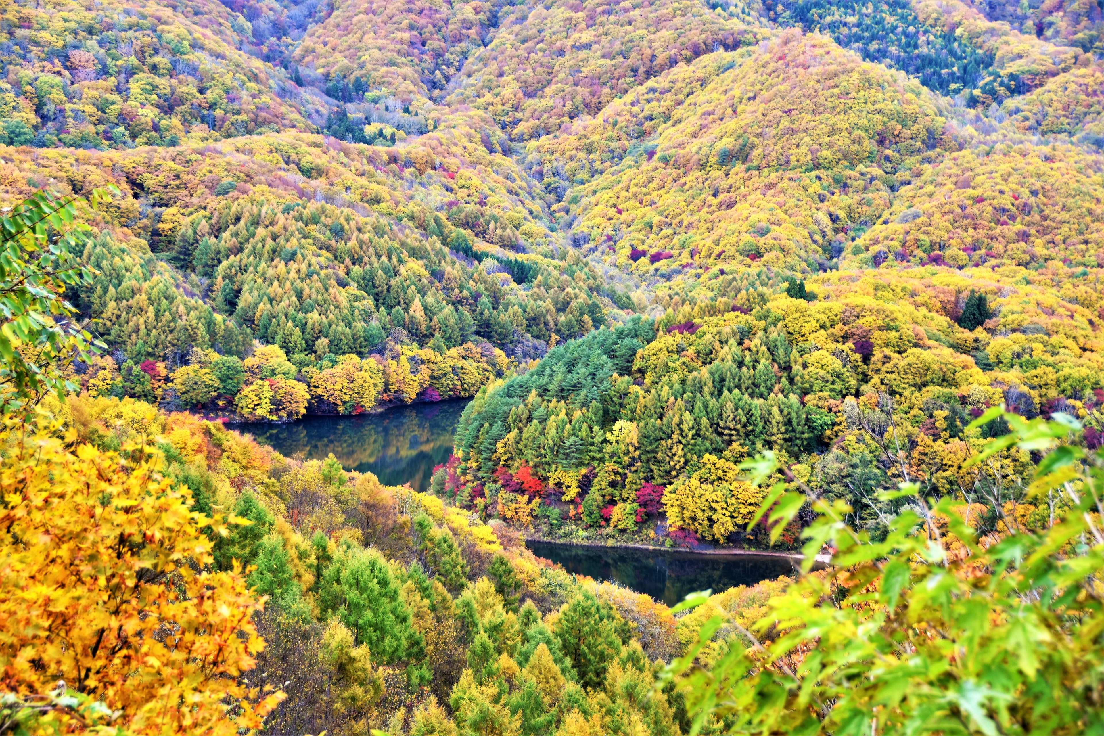 東側エリア