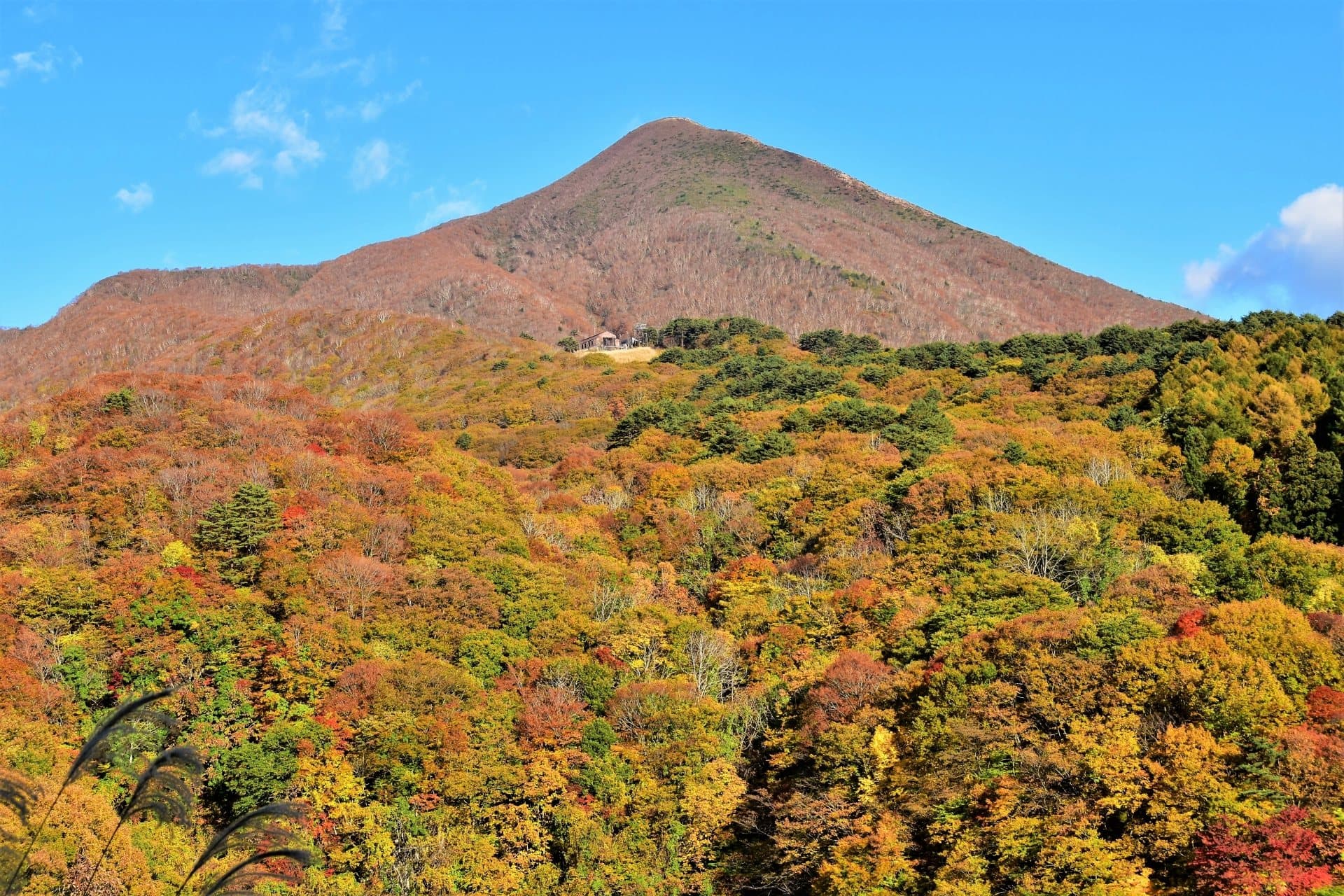 磐梯山ゴールドラインの風景 1