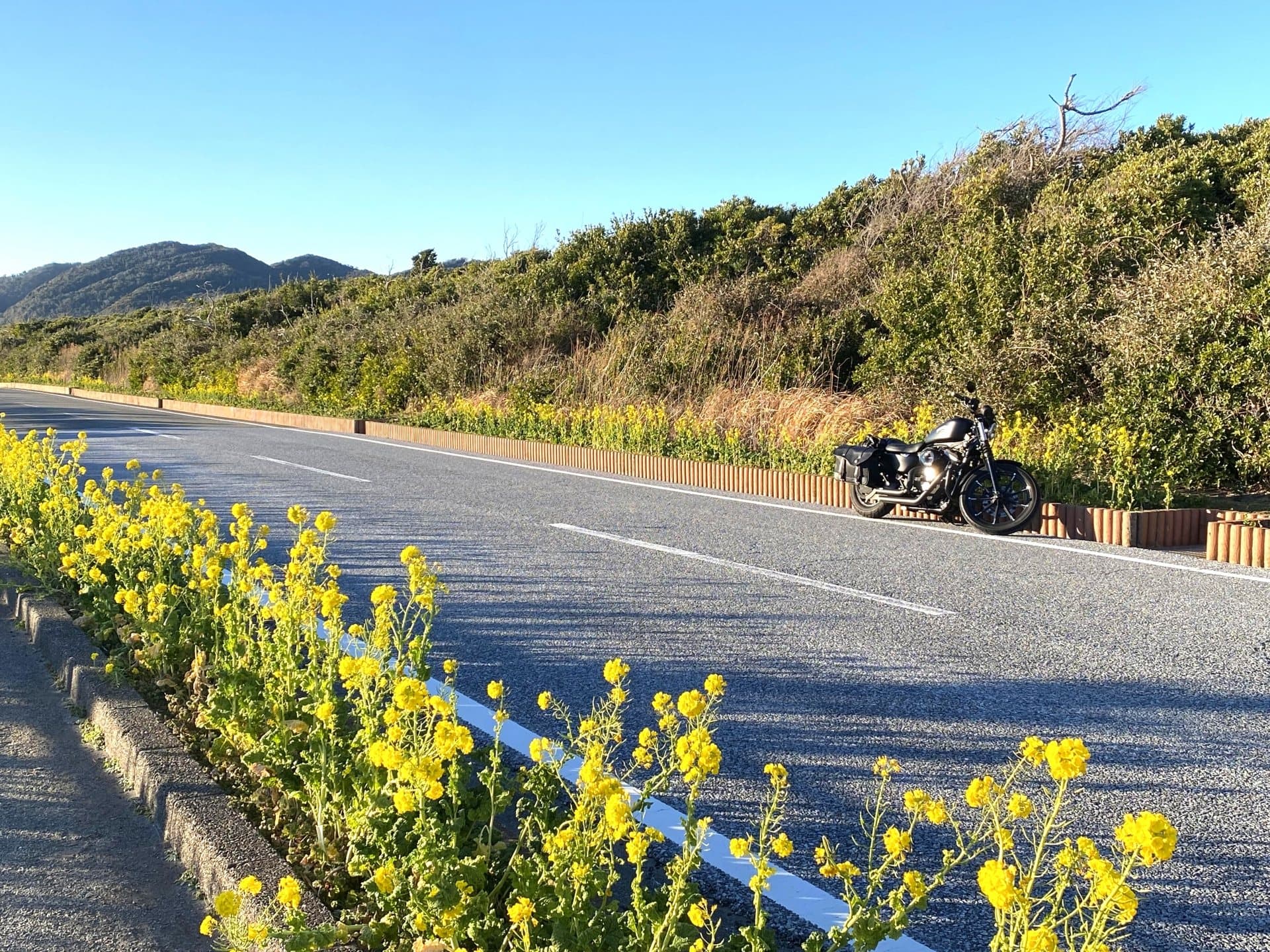 房総フラワーラインの風景 1