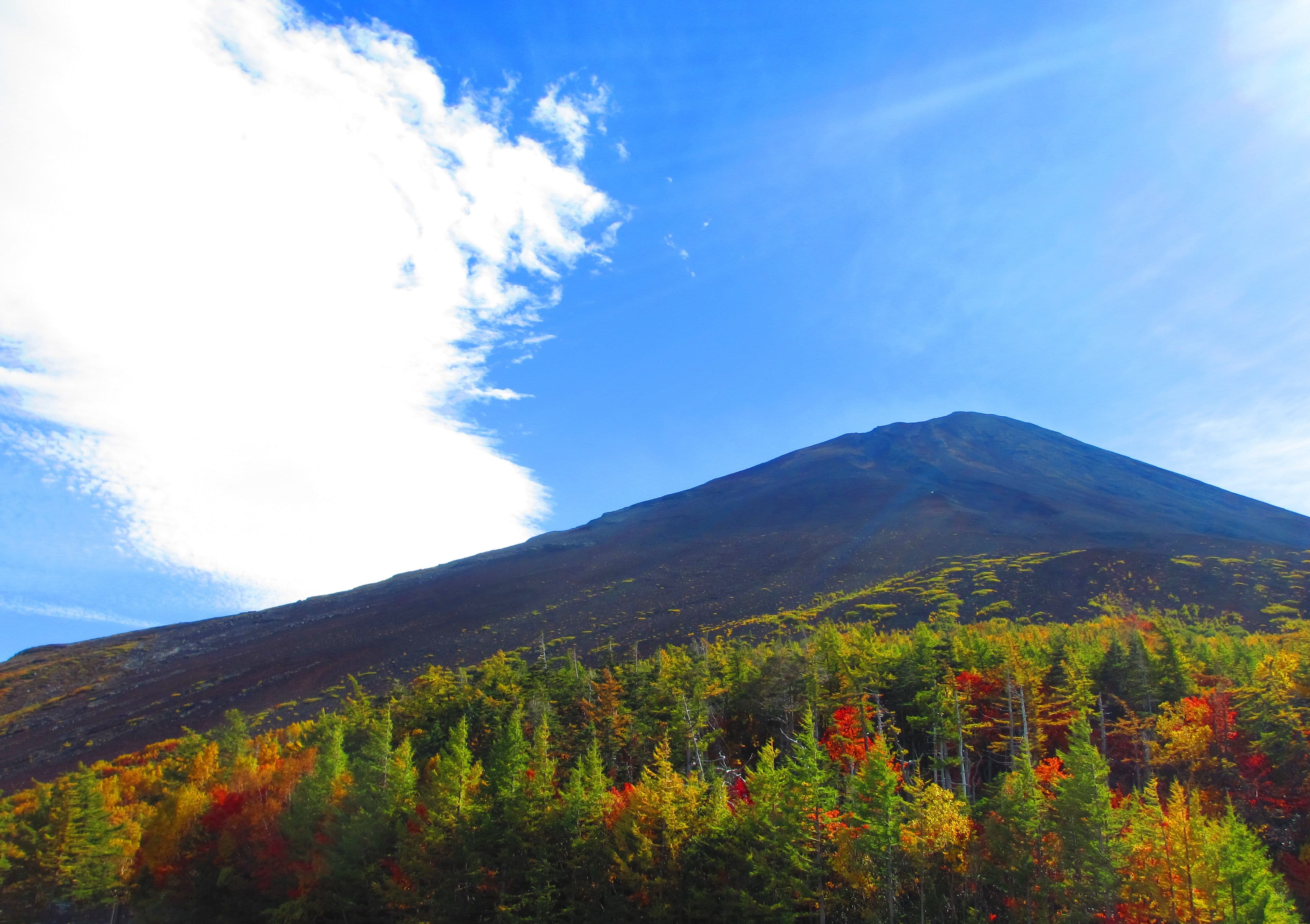 富士スバルラインの風景 1