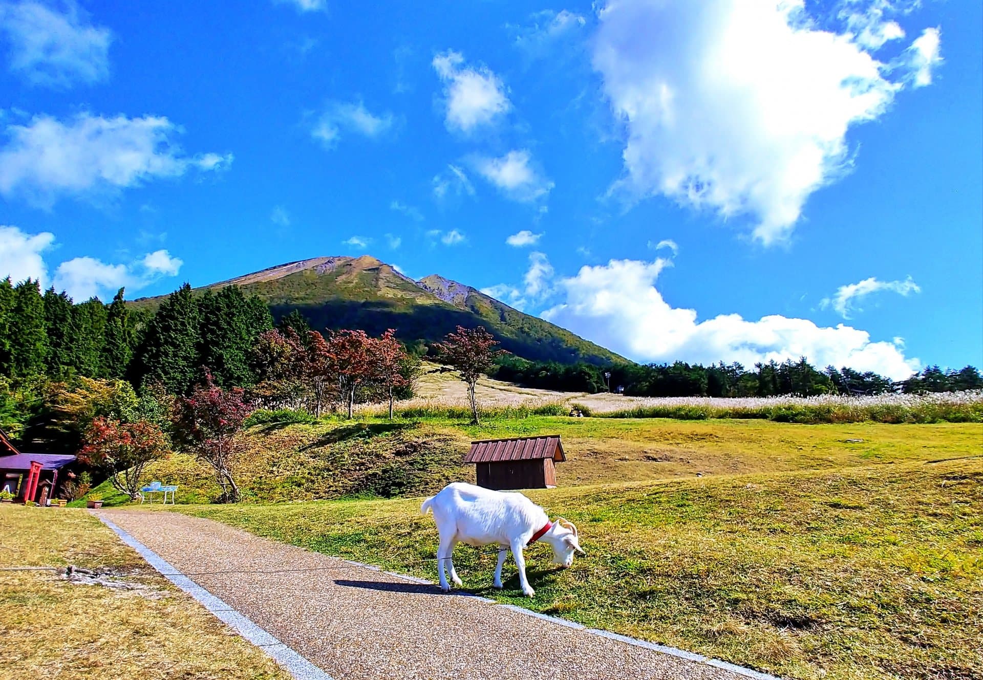 桝水高原