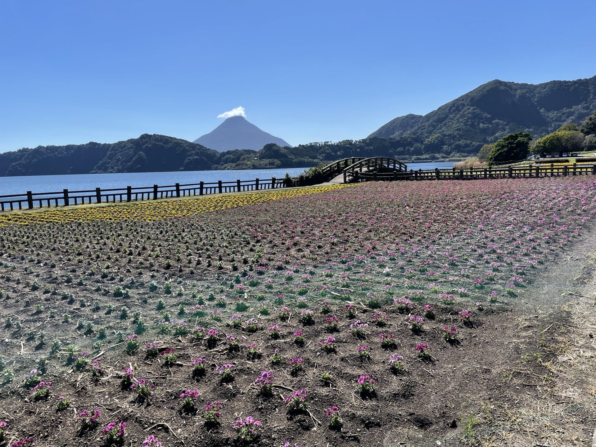 池田湖畔