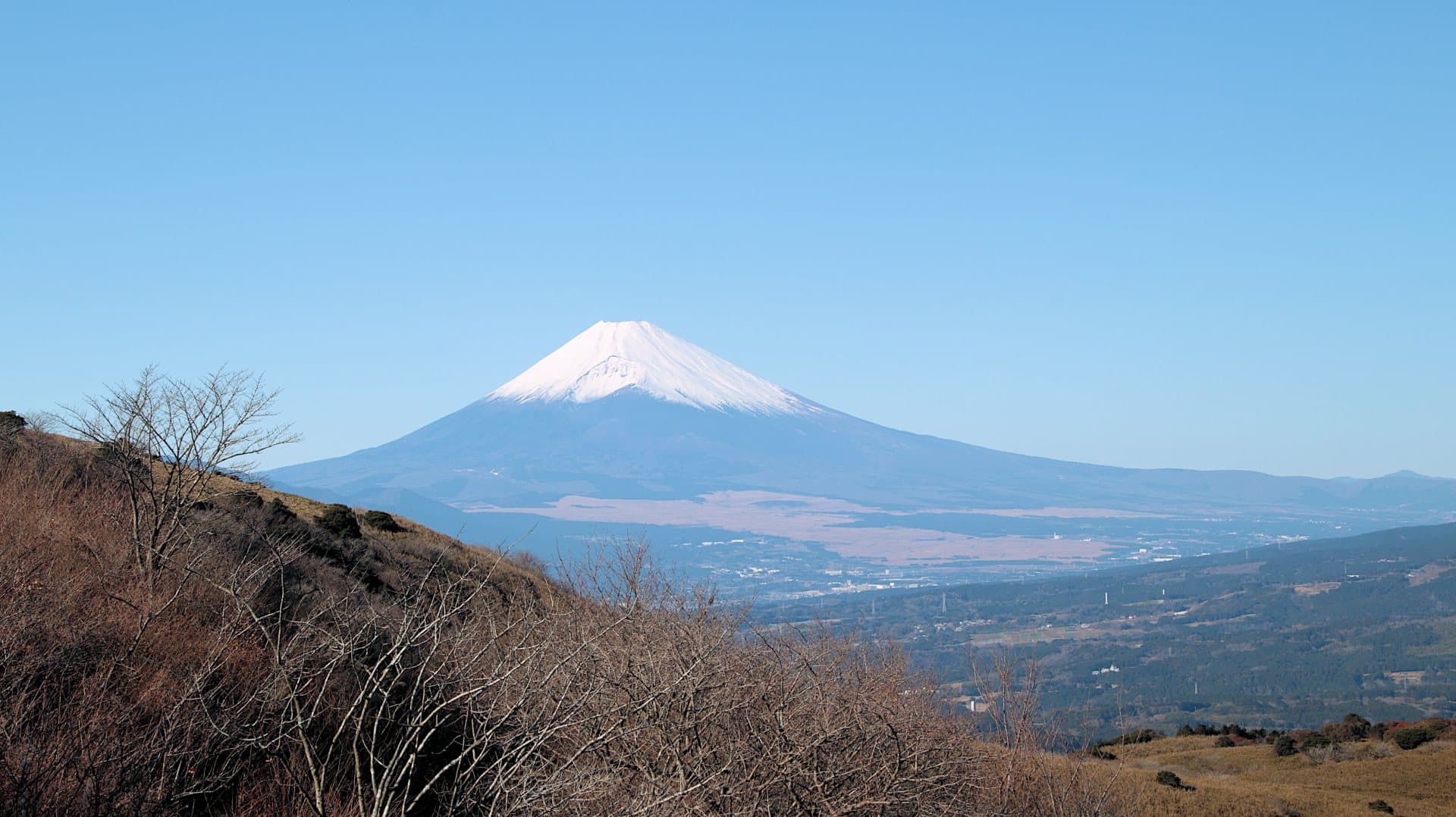 伊豆スカイラインの風景 2
