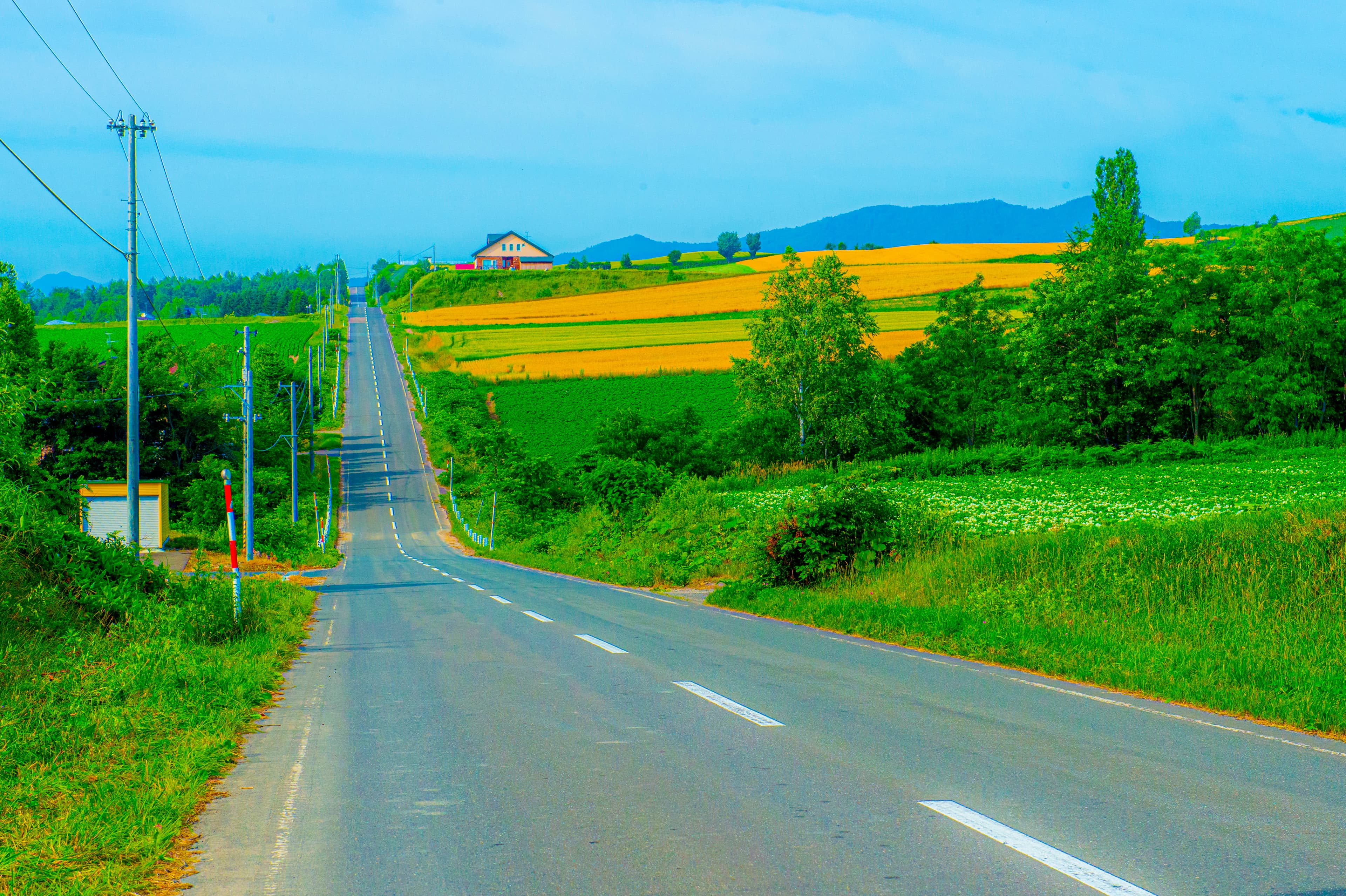 ジェットコースターの路の風景 1