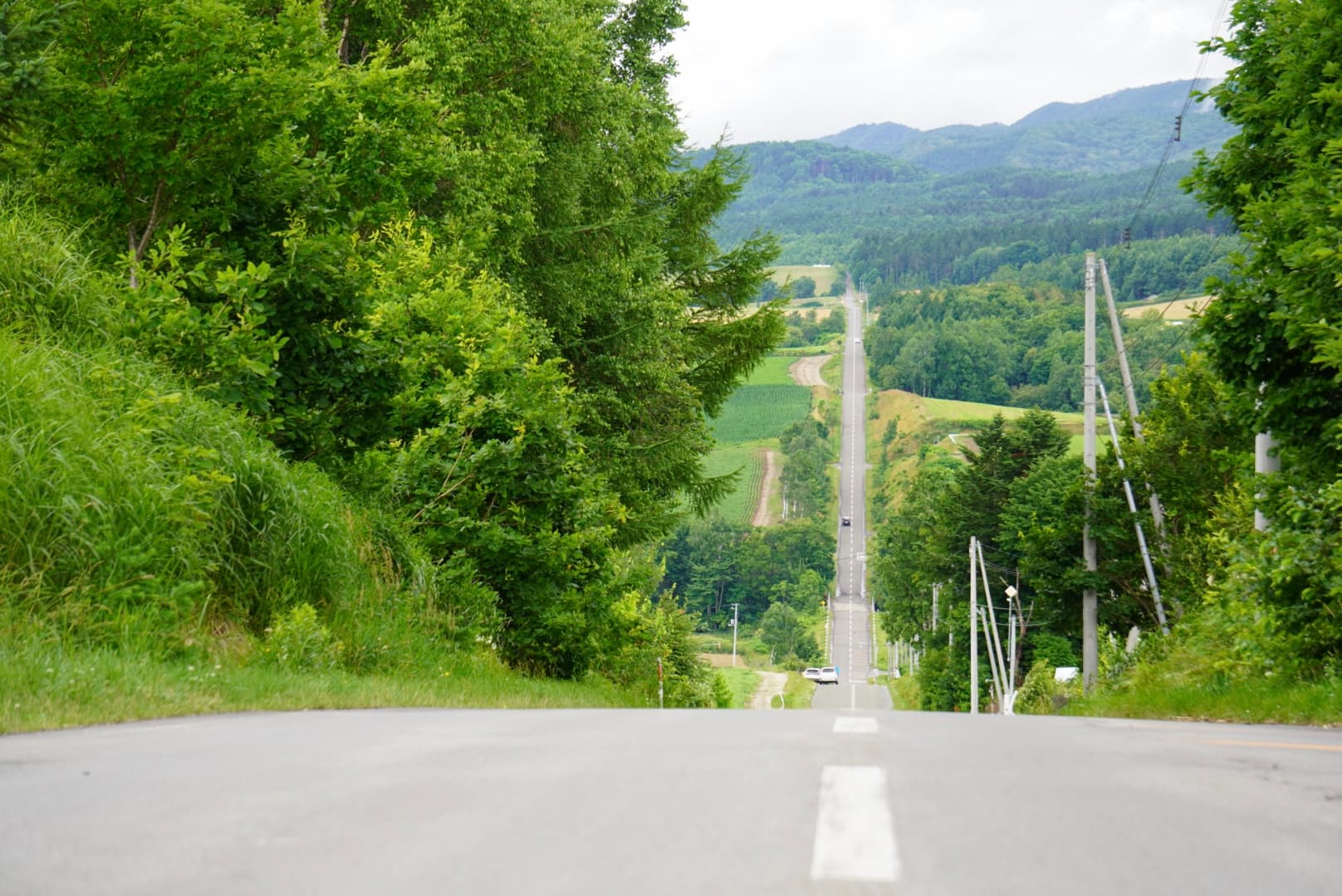 ジェットコースターの路 中央