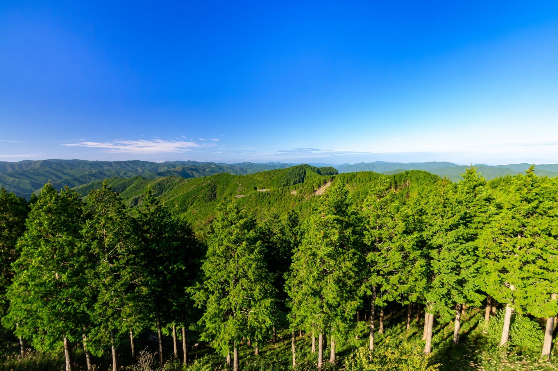 高野龍神スカイラインの風景 1