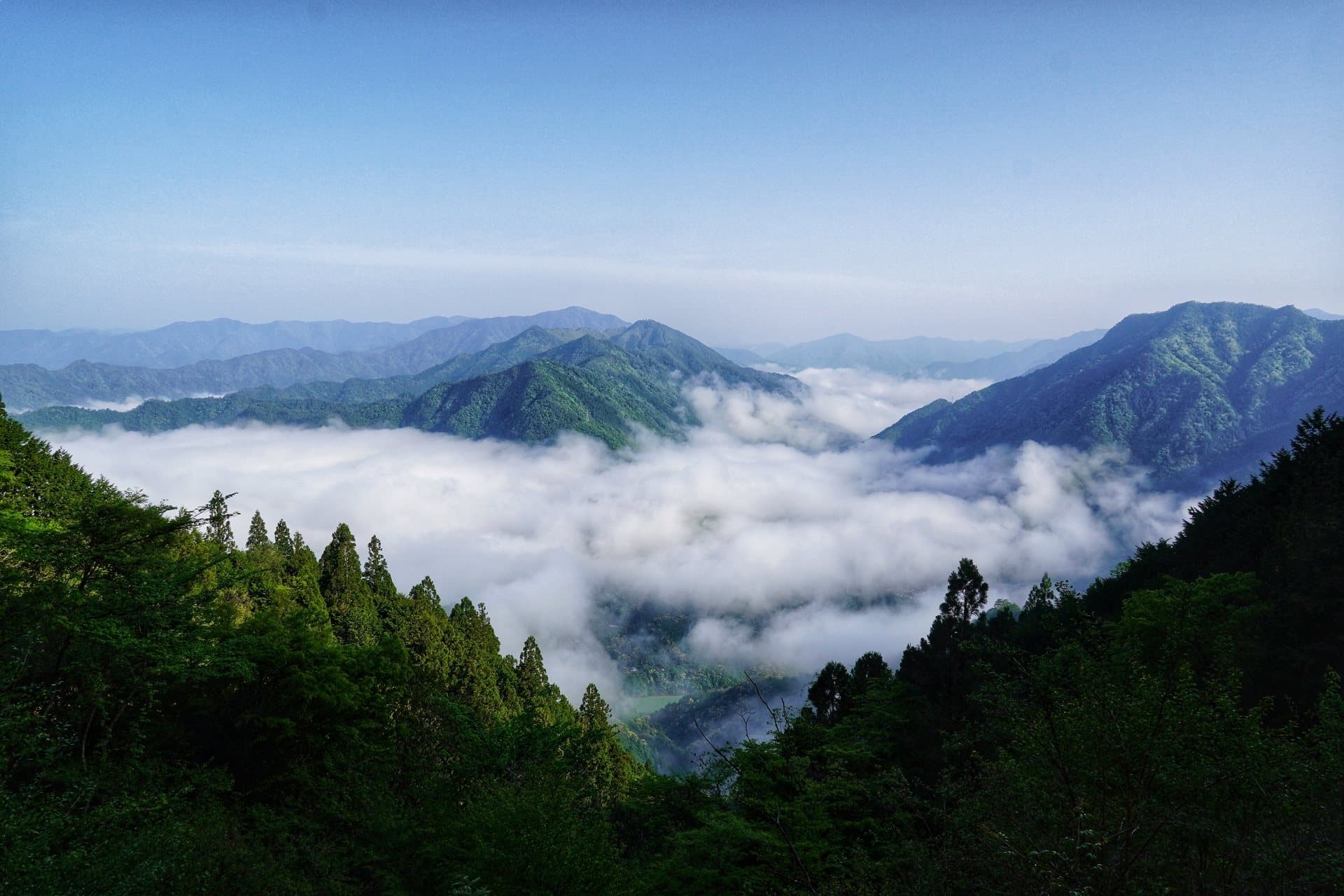 護摩壇山 展望所