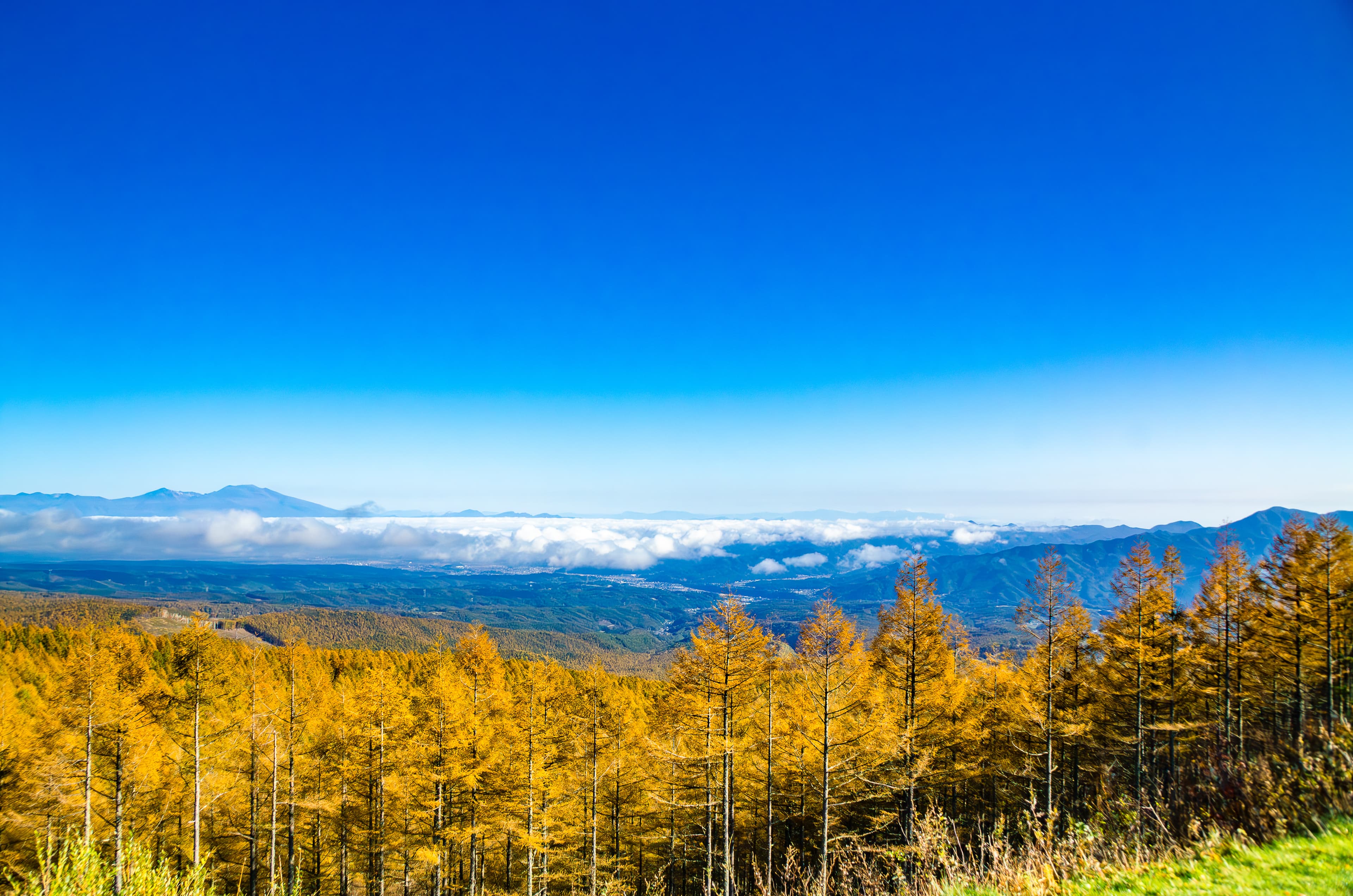 メルヘン街道・麦草峠の風景 1