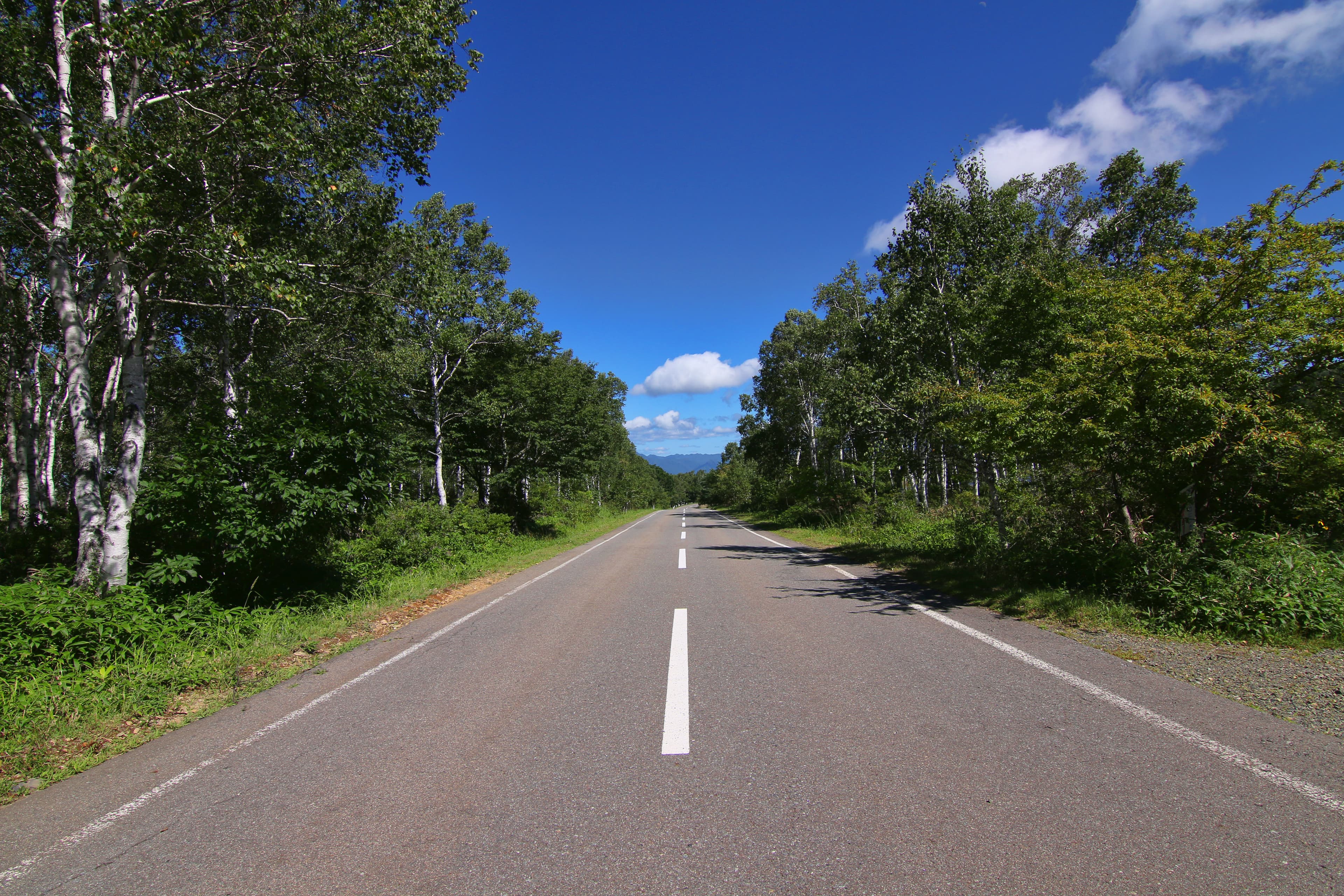 メルヘン街道・麦草峠