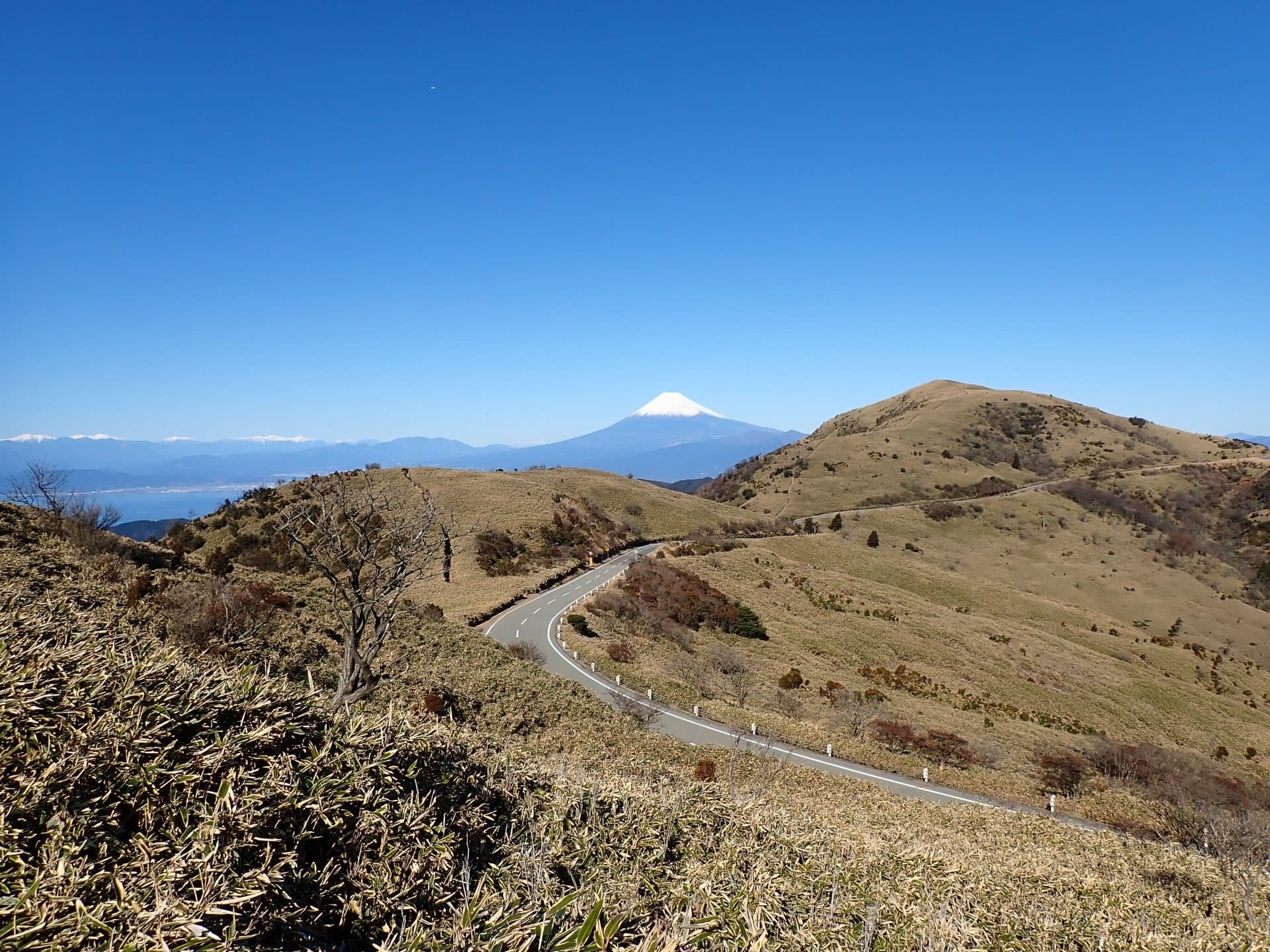達磨山登山口駐車場