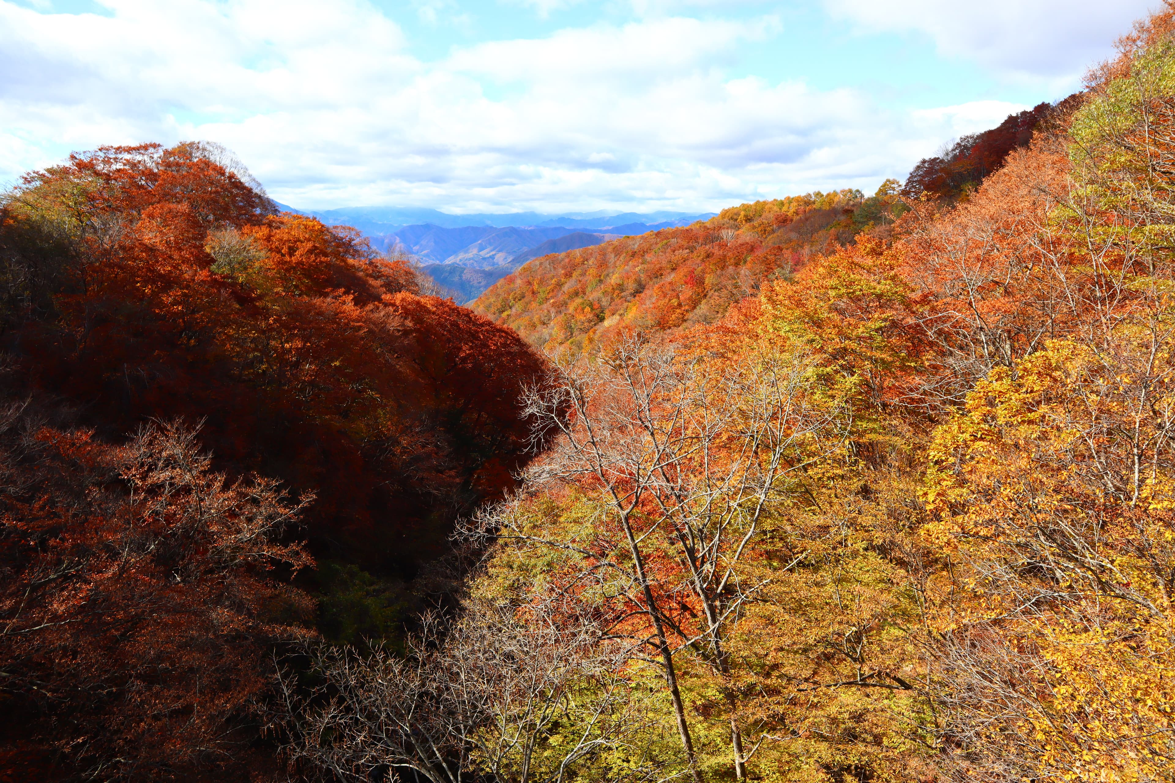 日塩もみじラインの風景 1