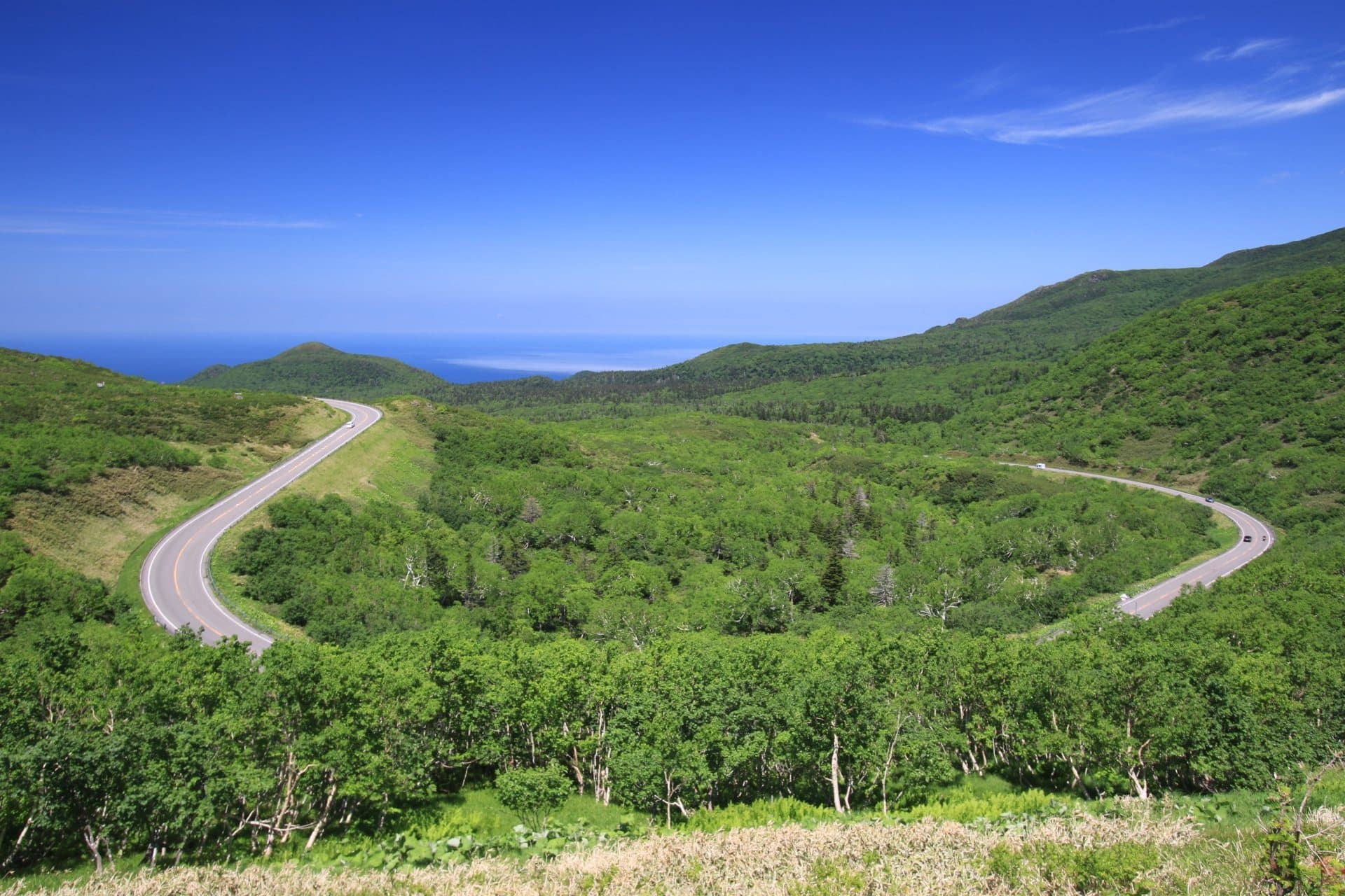 夏に走りたい日本の絶景ロード10選 — 海・高原・山岳の爽快ルート