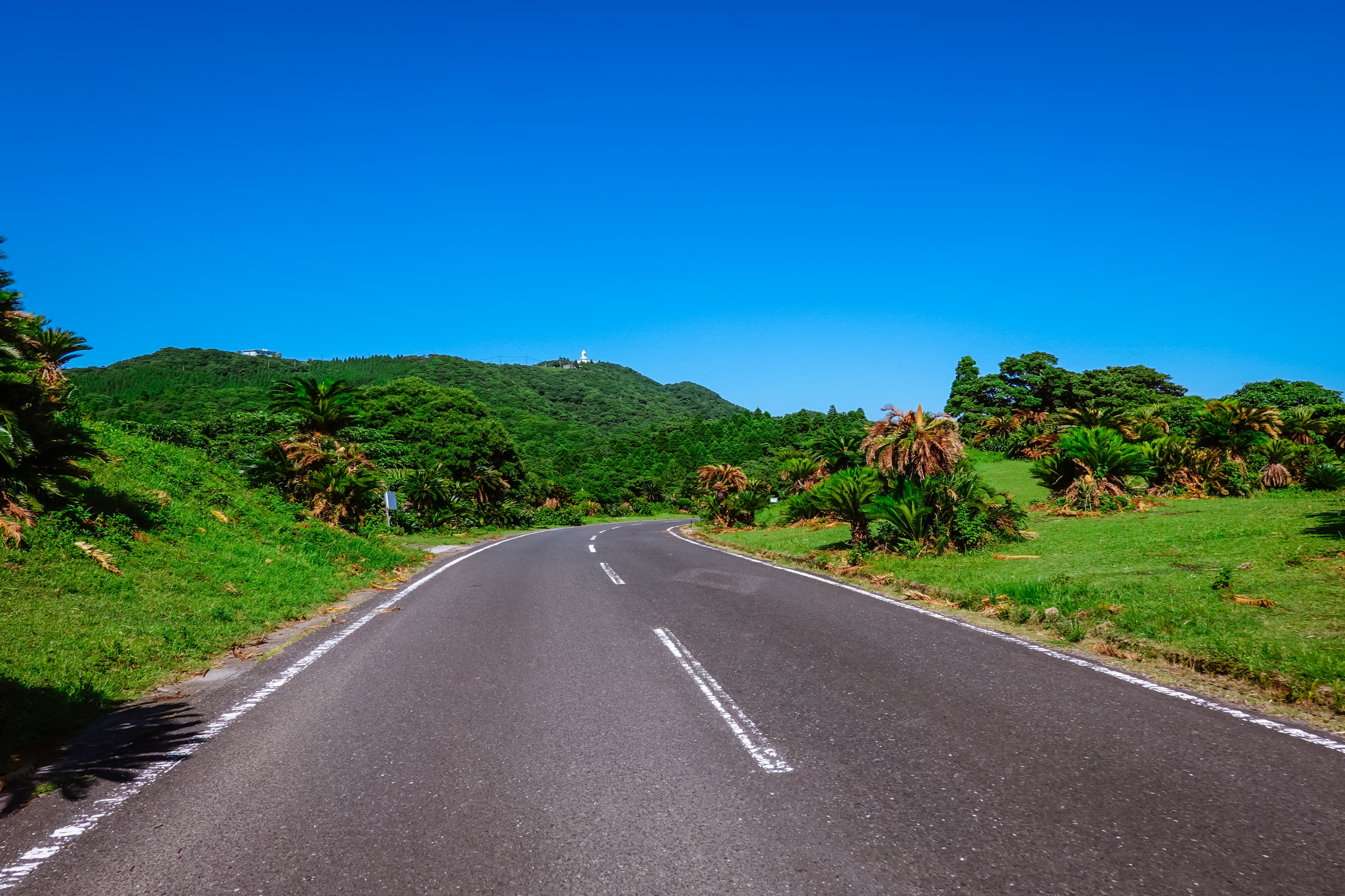 県道36号 都井岬線の風景 1
