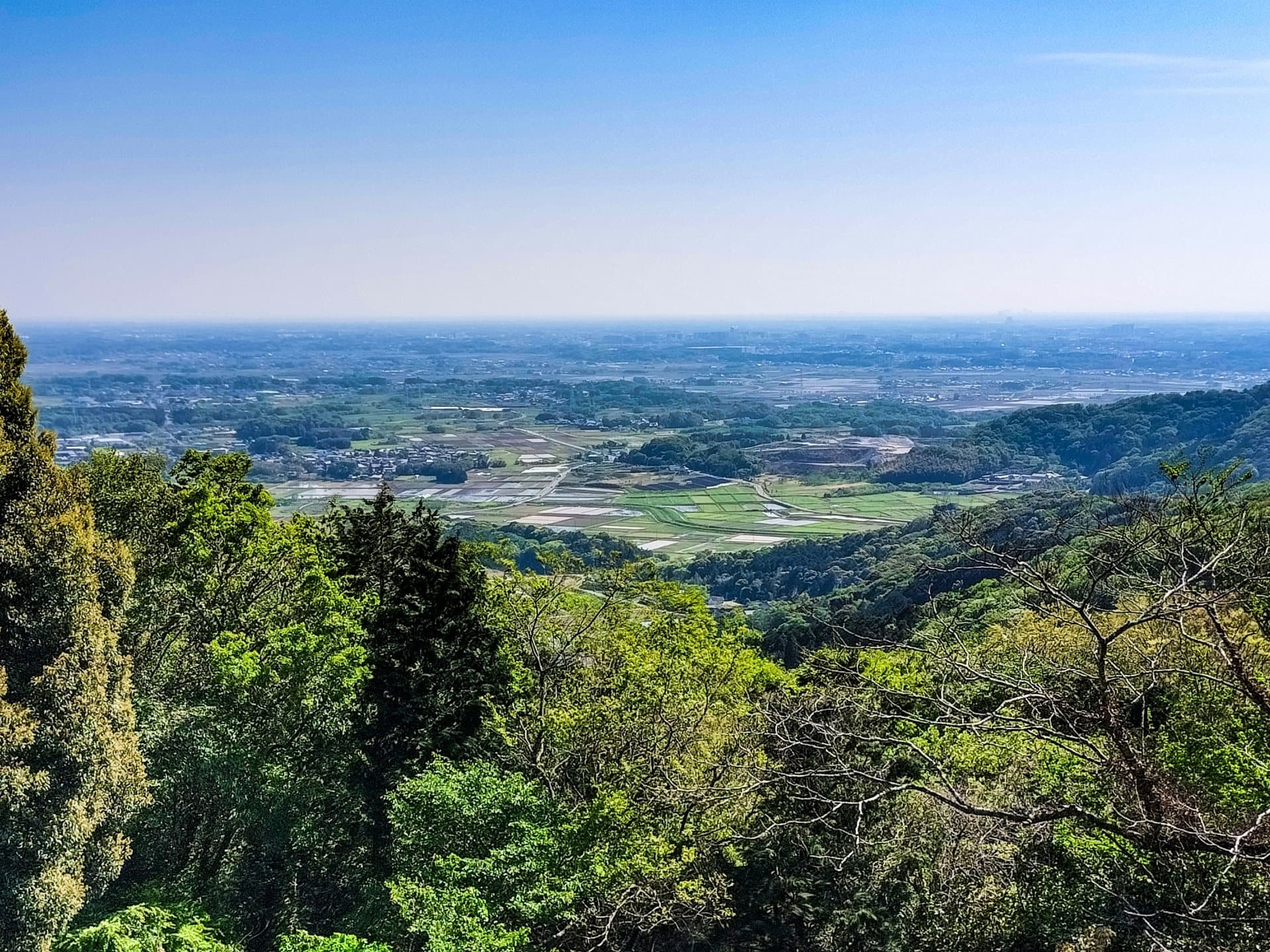 筑波パープルラインの風景 1