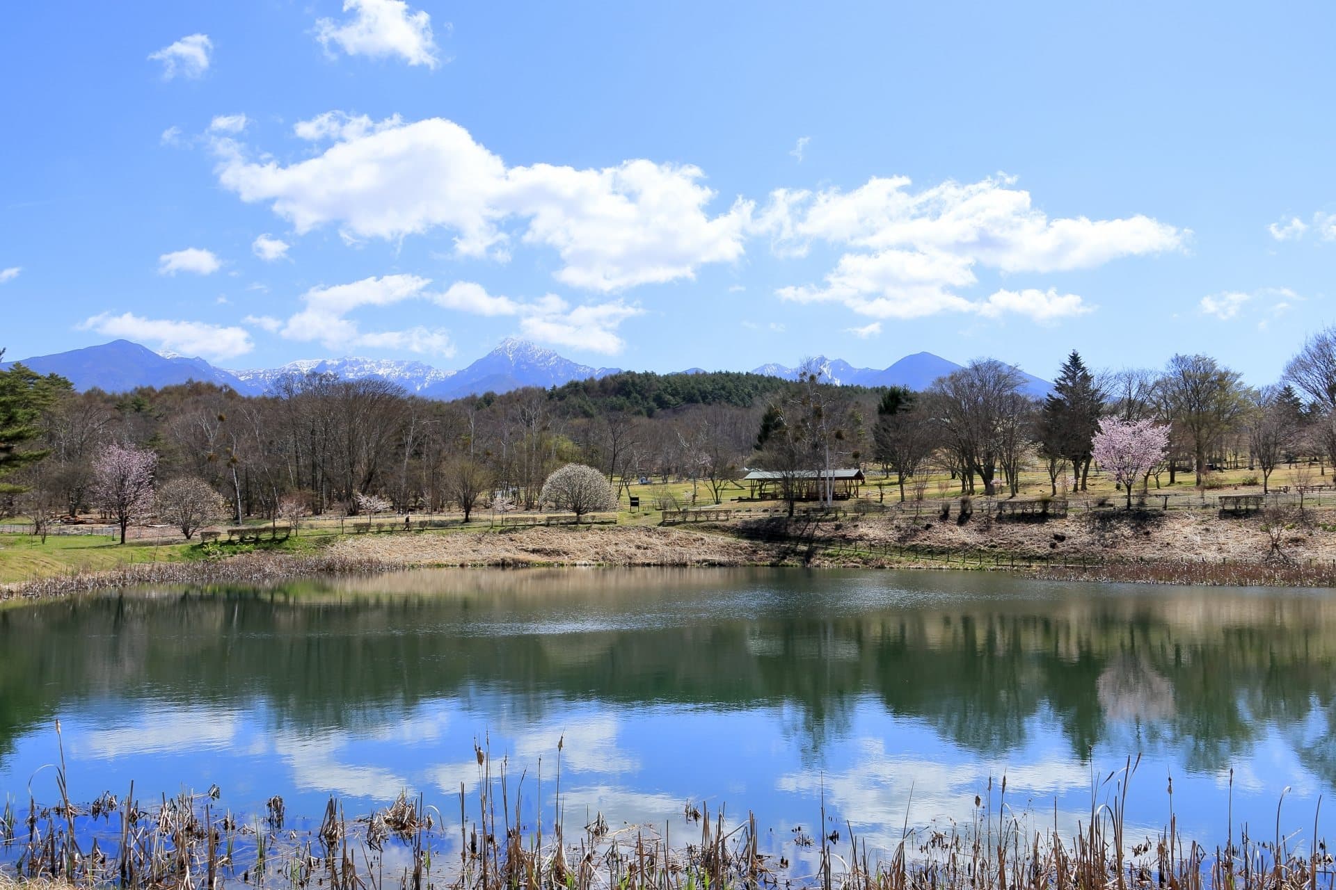八ヶ岳自然文化園