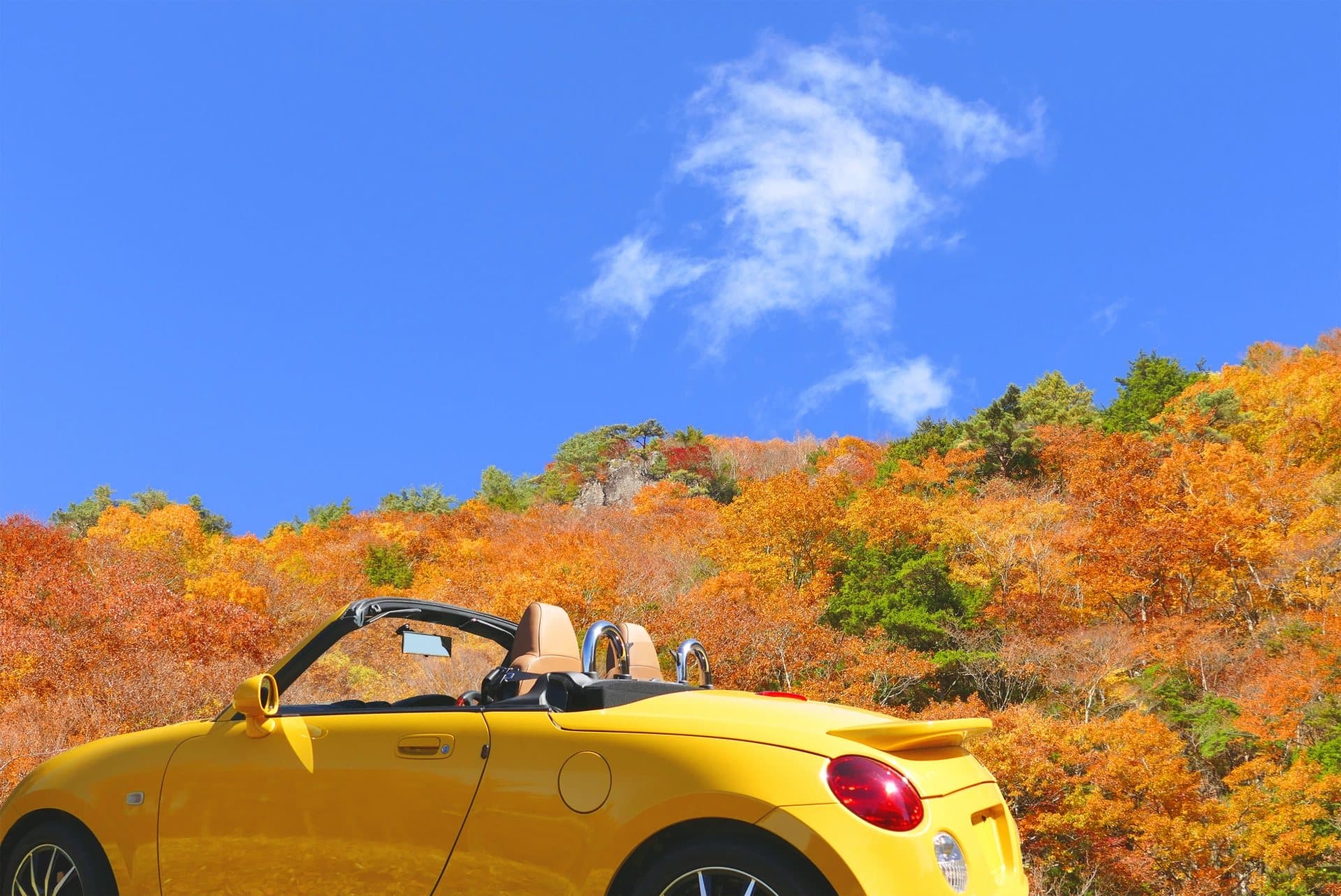 屋根を開けて走りたい。いま買えるオープンカー6選 — 価格帯別の現実的な選び方